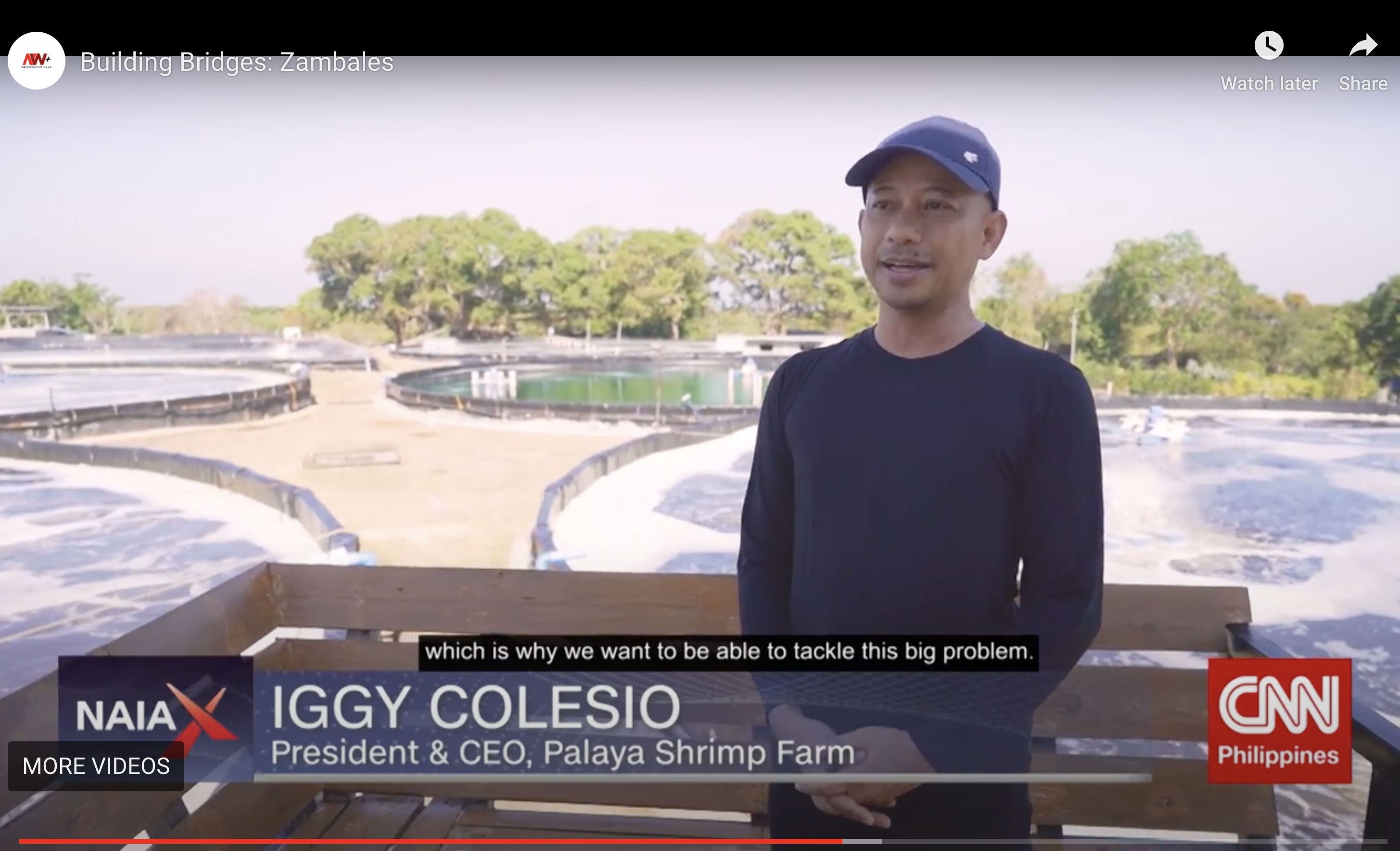 Palaya Shrimp Farm Media Feature