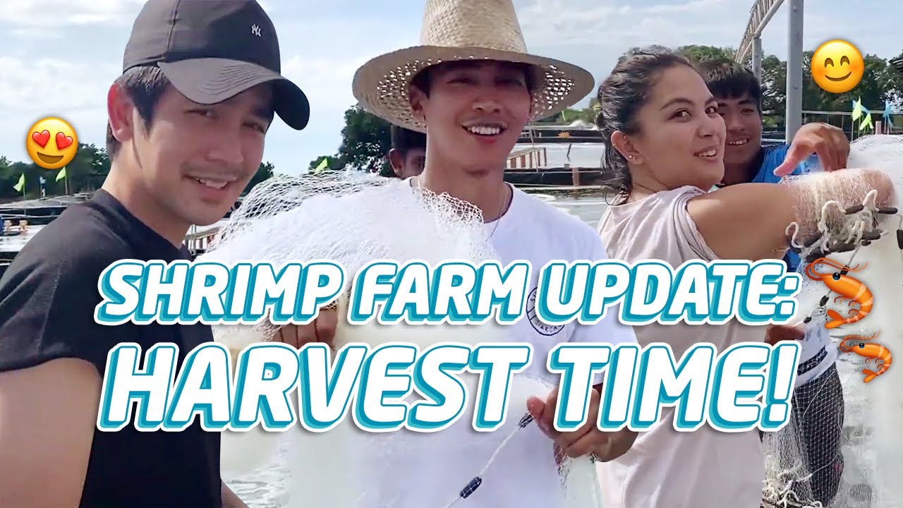 Enchong Dee visits Palaya Shrimp Farm