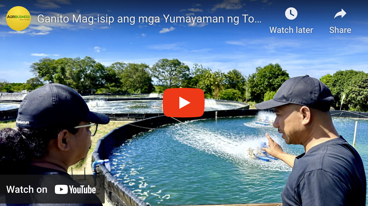 Palaya Farm Operations