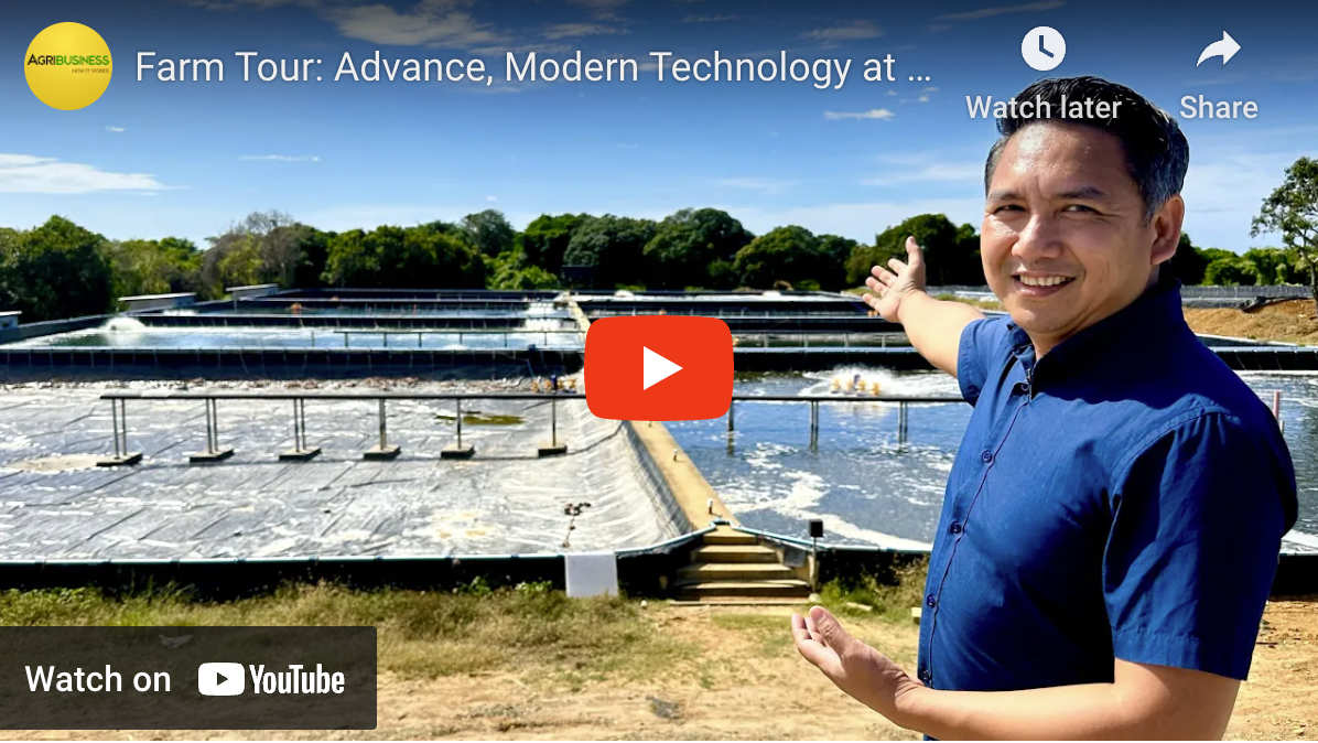 Modern Aquaculture Tanay